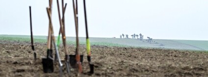 foto: Kryštof Chytrý Okrašlovací spolek Mikulov