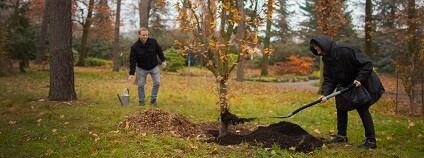 foto: Botanická zahrada Praha / facebook.com