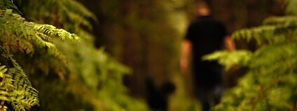 Foto: Chris Jones / Flickr