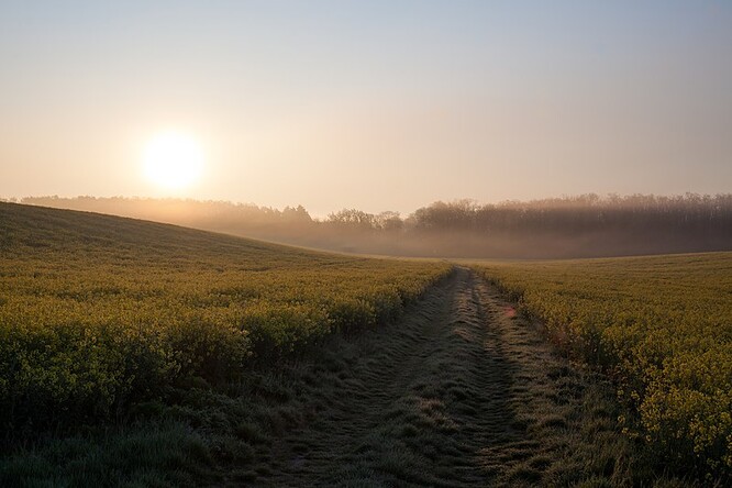Jižní Morava je jedním z regionů nejzasaženějších klimatickou změnou.