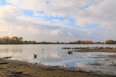 Kromě usmrcení ryb musí rybáři dezinfikovat vápnem břehy rybníků. Minimálně šest týdnů musí zůstat vypuštěné. Loni rybáři, když ničili chovy kvůli nákaze poprvé, vápnili rybníky plošně. Na snímku rybník Buňkov.
