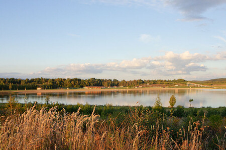Koupaliště loni zřejmě paradoxně doplatilo na vysokou kvalitu vody, která je pro vodní plže ideálním prostředím k životu