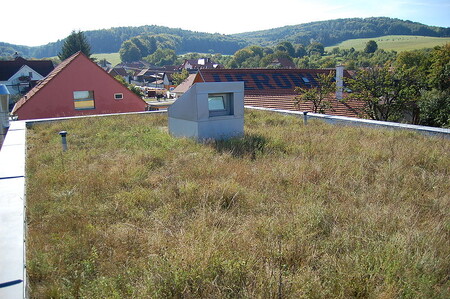 Podle architektky Marcely Kubů z AVMI zelené střechy okysličují, ochlazují a zvlhčují okolní vzduch a tím narušují tepelné ostrovy obsahující převážně asfalt a beton. Největší nedostatek zelených střech představuje jejich hmotnost a tím zvýšené nároky na statiku střechy