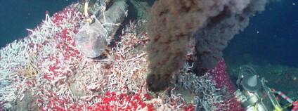 Hydrotermální průduch. Foto: NOAA/Wikimedia Commons