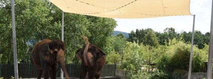 foto: ZOO Ústí nad Labem