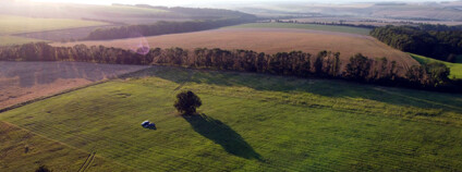 Louka na přespání.