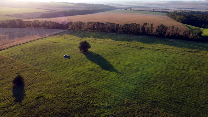 Louka na přespání.