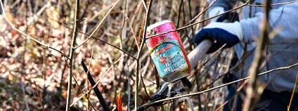 Foto: Chesapeake Bay Program / Flickr