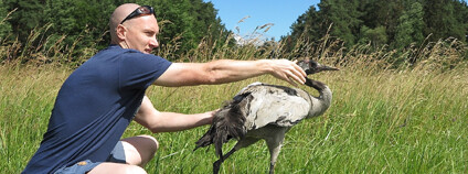 Foto: Karel Makoň / DES OP