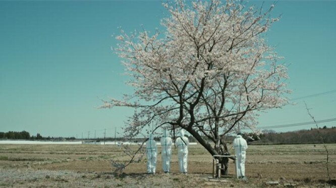 Většina filmů s tématem životního prostředí můžete najít v sekci Zemětaje.