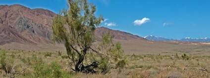 Foto: Vladimir Varfolomeev / Flickr