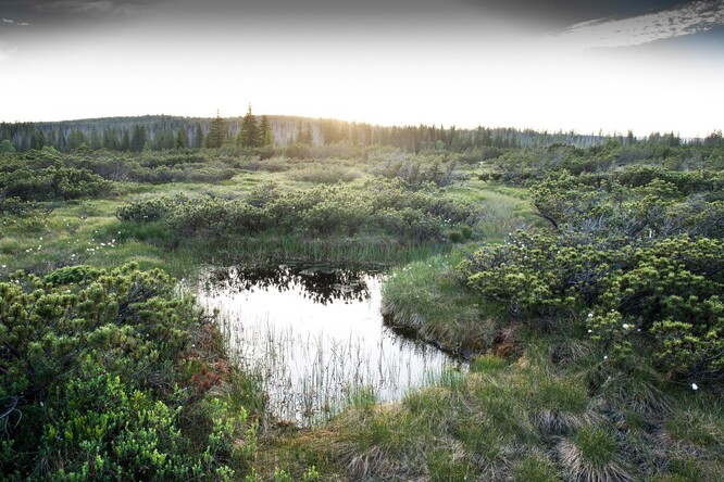 Luční prameniště leží při severním okraji venkovské zástavby v katastrálním území Rudné a jedná se o dílčí část Evropsky významné lokality.