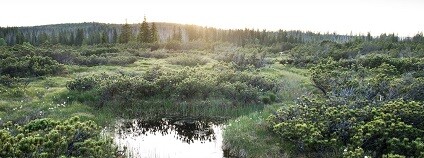 foto: Karlovarský kraj - oficiální stránka / facebook.com