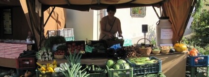 foto: Ekostatek Vlkaneč