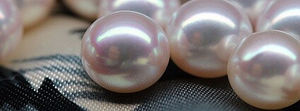 foto: favorites / flickr.com