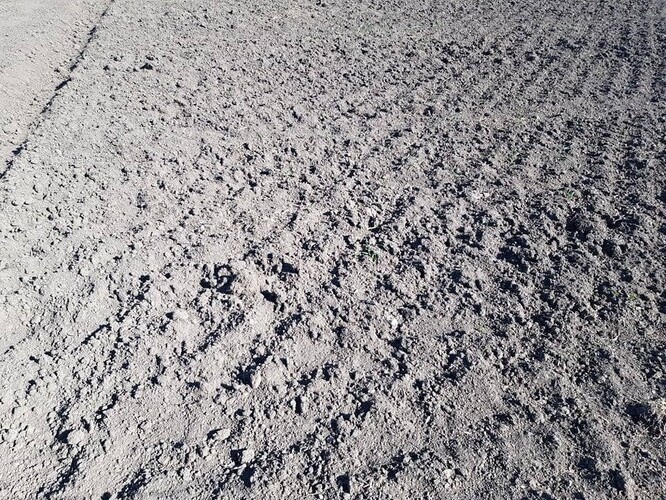 A v dubnu přišlo léto. Půda je suchá jako troud.