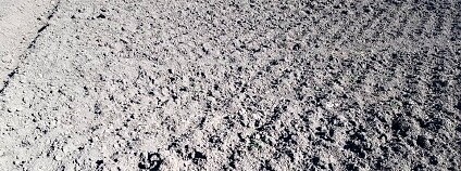 Foto: Anna Havel / Komunitní zahrada Pastvina