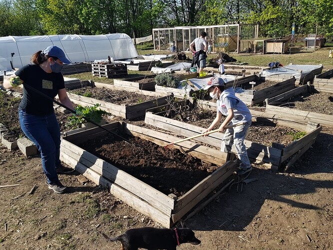 Možná je čas přestat šít roušky a vzít do ruky motyku.