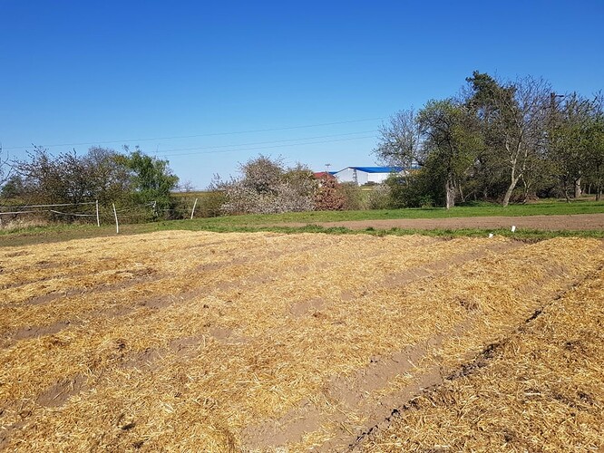 Nápadu vyhnat studenty na pole s při mulčování pole pan doktor s panem inženýrem od srdce zasmáli.