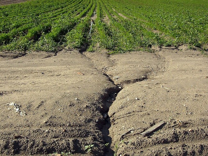 Eroze půdy u Přerova nad Labem podpořená nevhodnou orbou.