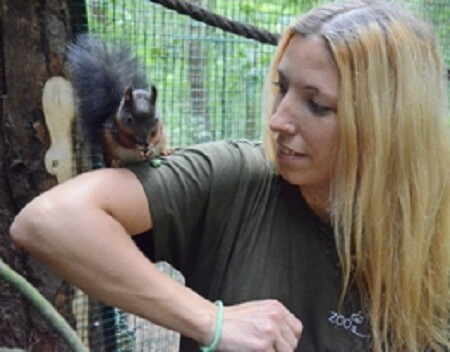 Ve výběhu veverek obecných v Zoo Děčín, který byl několik měsíců prázdný, se zabydluje sourozenecký pár veverek.