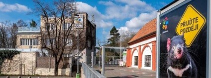 foto: Miroslav Bobek Zoo Praha