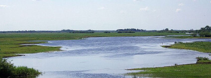 Biebrzańský národní park Foto: Adikpl Wikimedia Commons