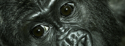 Moja Foto: Zoo Praha