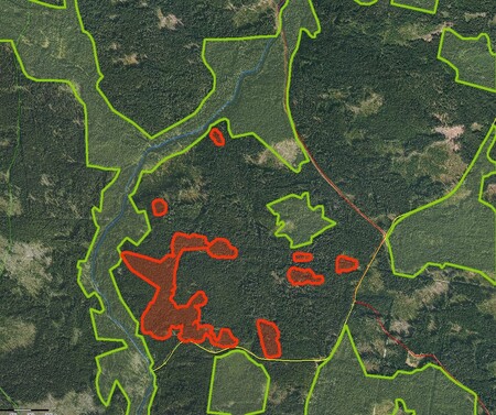 Mapa vykáceného území na Ptačím potoce. Červeně jsou vyznačené vzniklé holiny, zeleně území prvních zón