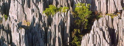 Národní park „Tsingy“na Madagaskaru. Foto: Moq /Wikimedia Commons