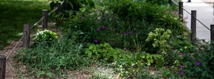 Foto: Zuzana Havlínová