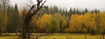 Foto: Jana Stachová