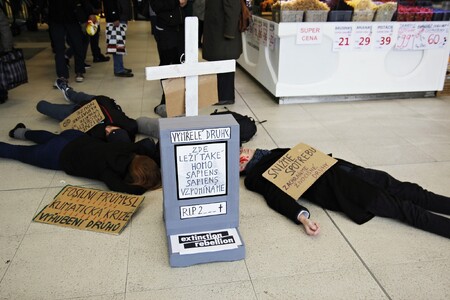 Členové hnutí si kolem poledne na půl hodiny polehali na zem v jednom z nefrekventovanějších brněnských obchodních domů.