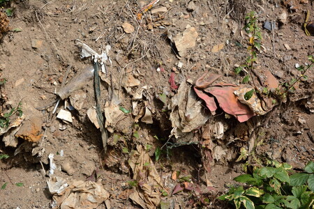 Skládka zasahuje do ochranné zóny Přírodního parku Radotínsko-Chuchelského háje a Přírodní rezervace Homolka.