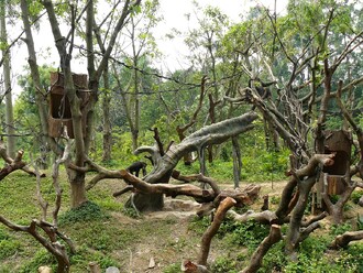 Tohle měl být nový domov Sherleyho. Alespoň tyto snímky prezentovala Dana Fraňková mně.