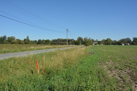 Arnika s místními dobrovolníky v listopadu vysadí podél silnice v Kopytově javorové stromořadí a tradiční odrůdy hrušní v Jeseníku nad Odrou.