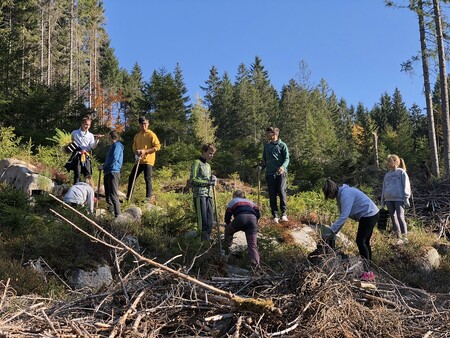 Zhruba 40 školáků a dobrovolníků začalo včera v Harrachově sázet modříny do tvaru nuly.