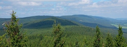 Foto:  Jiří Komárek / wikimedia commons