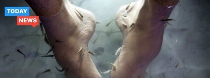 foto: Today News / www.youtube.com