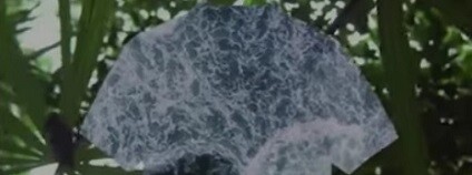 foto: Wochit News / youtube.com