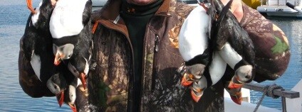 Foto: Campaign to Ban Trophy Hunting