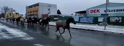 foto: Renata Hufová / facebook.com