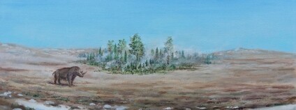 Foto: Jiří Svoboda