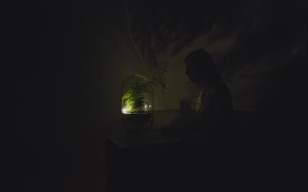 Metoda využívá procesu fotosyntézy, který se v rostlinách přirozeně odehrává za slunečního světla a při kterém se část vzniklých organických látek dostává kořeny do půdy. Tam ji zpracují půdní bakterie, přičemž vznikne energie, kterou je technologie vyvinutá odborníky ze společnosti Plant-e schopna zachytit na anodě. Následně se přesunují ke katodě, a tím vzniká elektrický proud.