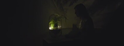 foto: Dezeen / youtube.com