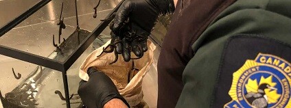 foto: Environment Climate Change Canada