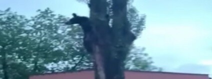 foto: Jozef Repka / youtube.com