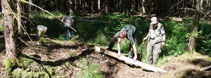 Dobrovolnické dny LIFE Adapt Brdy Foto: ČZU