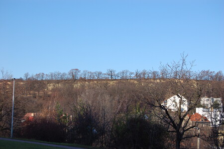 Stolová hora Vidoule je dominantou přírodního parku Košíře-Motol, který je mezi Košíři a Butovicemi.
