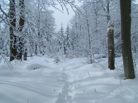 Základním principem je transparentní zadávání zakázek ve veřejných soutěžích, které mají přinést vyšší výnosy než v minulých letech.